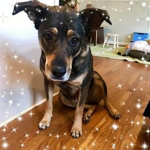 Meet your Posher, Kristin